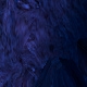 Tile[-4:-2]