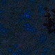 Tile[-4:1]