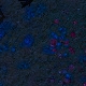 Tile[-4:13]