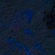 Tile[-3:11]