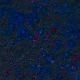 Tile[-3:12]