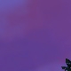 Tile[-21:-16]