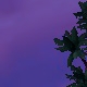 Tile[-21:-14]