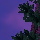 Tile[-21:-13]