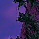 Tile[-21:-12]