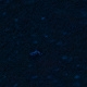 Tile[-21:9]