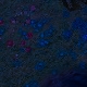Tile[-2:13]