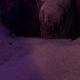 Tile[-1:-14]