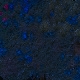 Tile[-1:8]