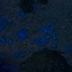 Tile[-1:13]
