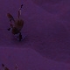 Tile[0:-20]