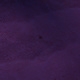 Tile[1:-12]