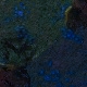 Tile[1:6]