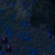 Tile[2:3]