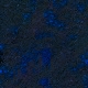 Tile[3:8]
