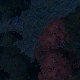 Tile[4:6]