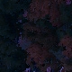 Tile[6:-8]
