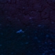 Tile[-20:-8]