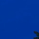 Tile[-20:-20]
