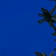 Tile[-20:-19]