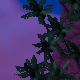 Tile[-20:-17]