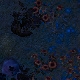 Tile[8:1]