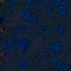 Tile[9:3]