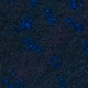 Tile[10:1]