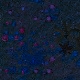 Tile[10:9]