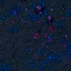Tile[11:8]