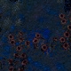 Tile[14:-6]