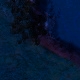 Tile[16:11]