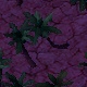 Tile[-19:-14]