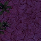 Tile[-19:-12]
