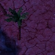 Tile[-19:-9]