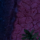 Tile[-19:-7]
