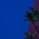 Tile[-19:-22]