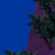 Tile[-19:-21]
