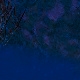 Tile[19:15]