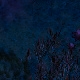 Tile[23:13]