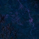 Tile[25:8]