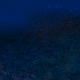 Tile[25:17]