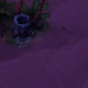 Tile[25:-21]