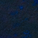 Tile[26:-11]