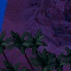 Tile[-18:-23]