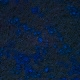 Tile[28:-1]