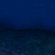 Tile[28:17]