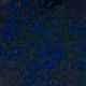 Tile[29:4]