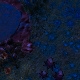 Tile[29:7]