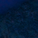Tile[29:14]
